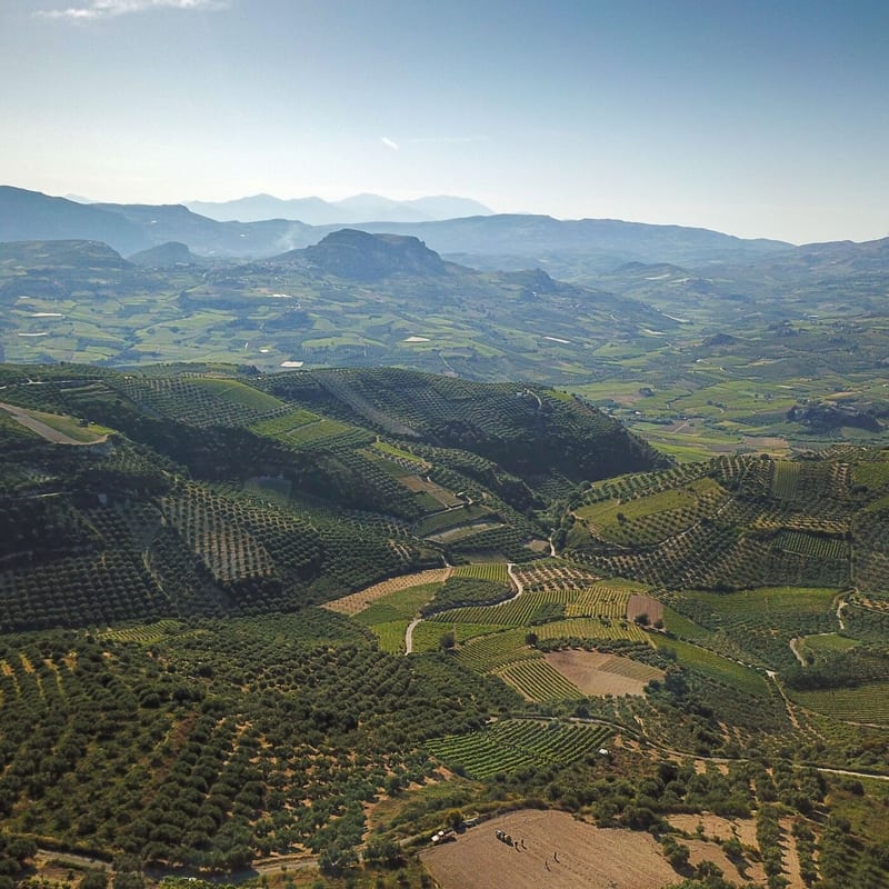 Douloufakis Winery