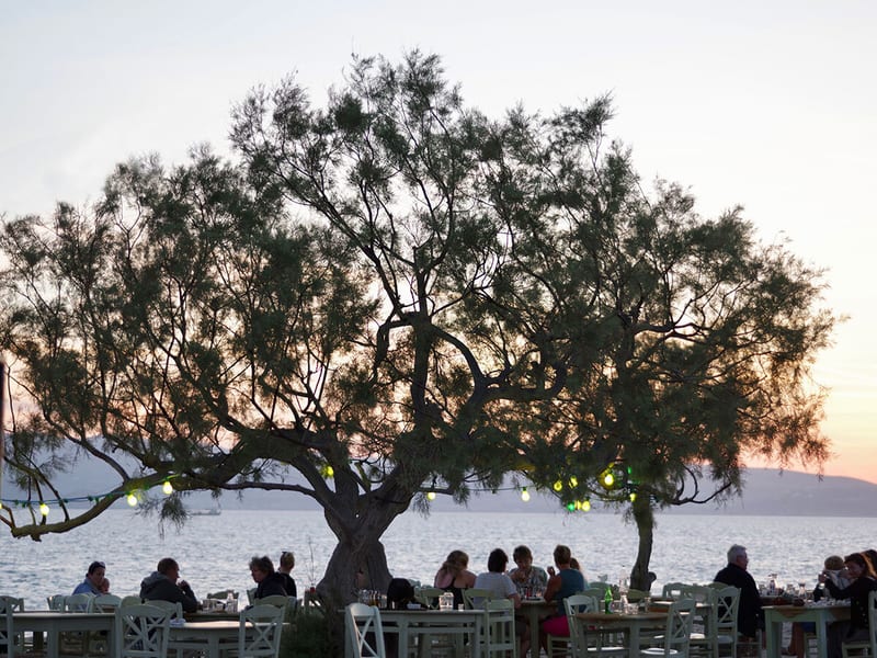 Paradiso Taverna